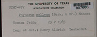 Image Associated With the Occurence